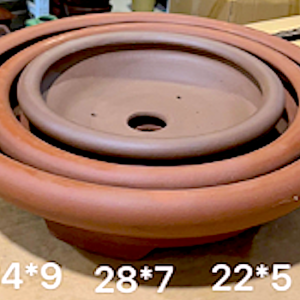 Round & Round Sided Shallow Bonsai Container  34L x 34W x 9cmDeep