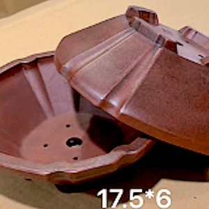 Octagonal Cornered Flute Edged Antique Finish Bonsai Container 17L x 17W x 6cmDeep