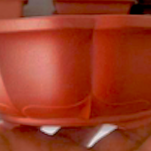 Footed Lotus Bonsai Container 14L x 14W x 6.5cmDeep