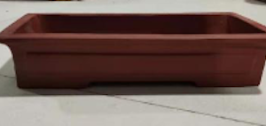 Wide Lip Concave Walled Rectangular Bonsai Container 26L x 12.5W x 5.5cmDeep
