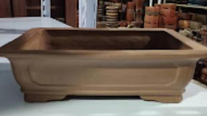 Wide Lip Concave Walled Rectangular Bonsai Container 25L x 17W x 8cmDeep